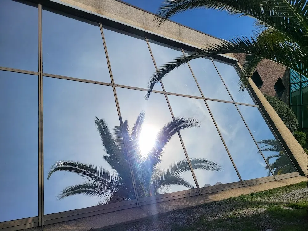 Remplacement de film solaire sur mur rideau incliné — Cannes (06), photo 5