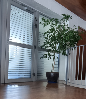 Vitrage équipé d'un film dépoli décoratif
